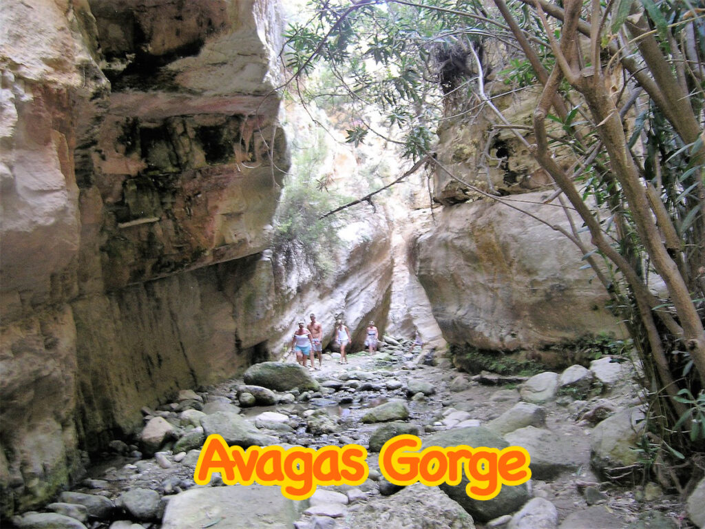 5 Land-Rover-Treasure-Safari-Paphos-Cyprus-Jeep-Akamas-Avagas Gorge