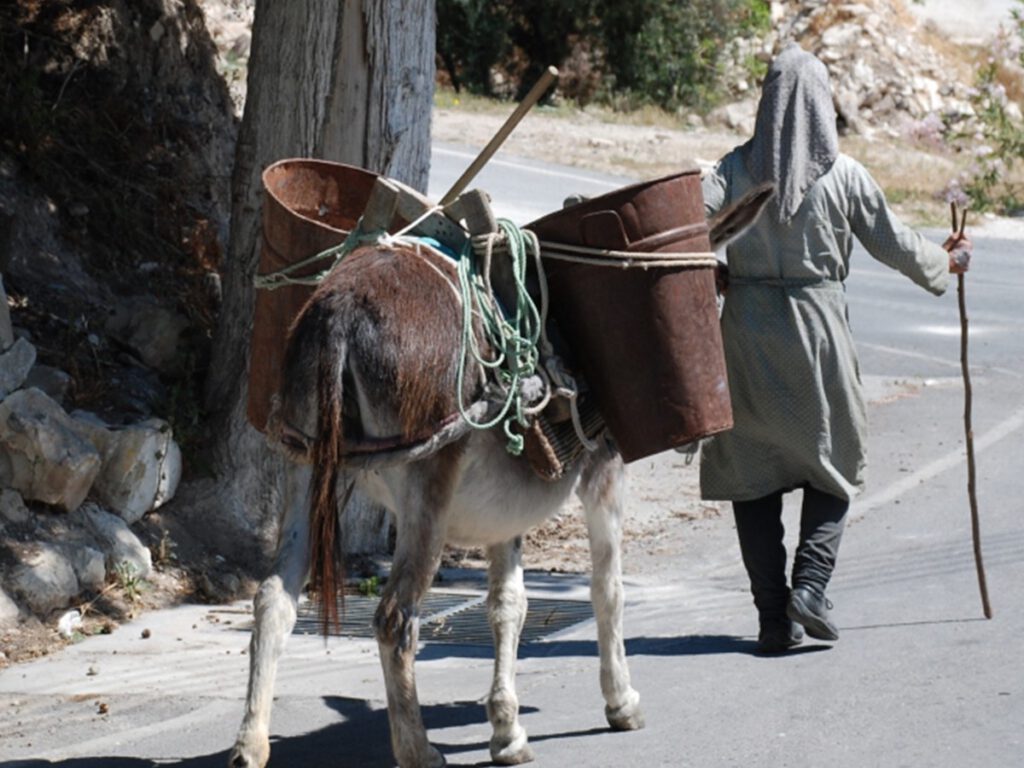 6 Cypriot-Woman-Land-Rover-Treasure-Jeep-Safari-Troodos-Paphos