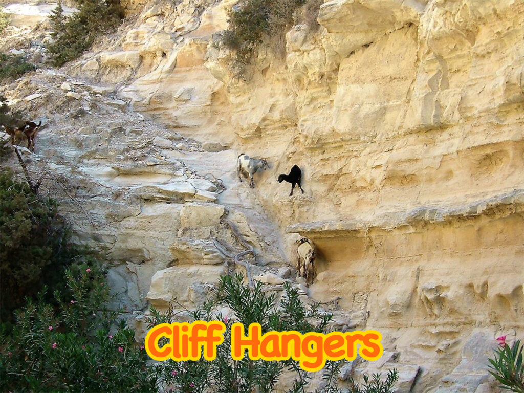 7 Land-Rover-Treasure-Safari-Paphos-Jeep-Akamas-Goats-Cliff-Hangers