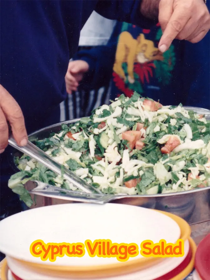 15-Cypriot-Village-Greek-Salad-Land-Rover-Treasure-Safari-Paphos-Cyprus-Jeep-Akamas