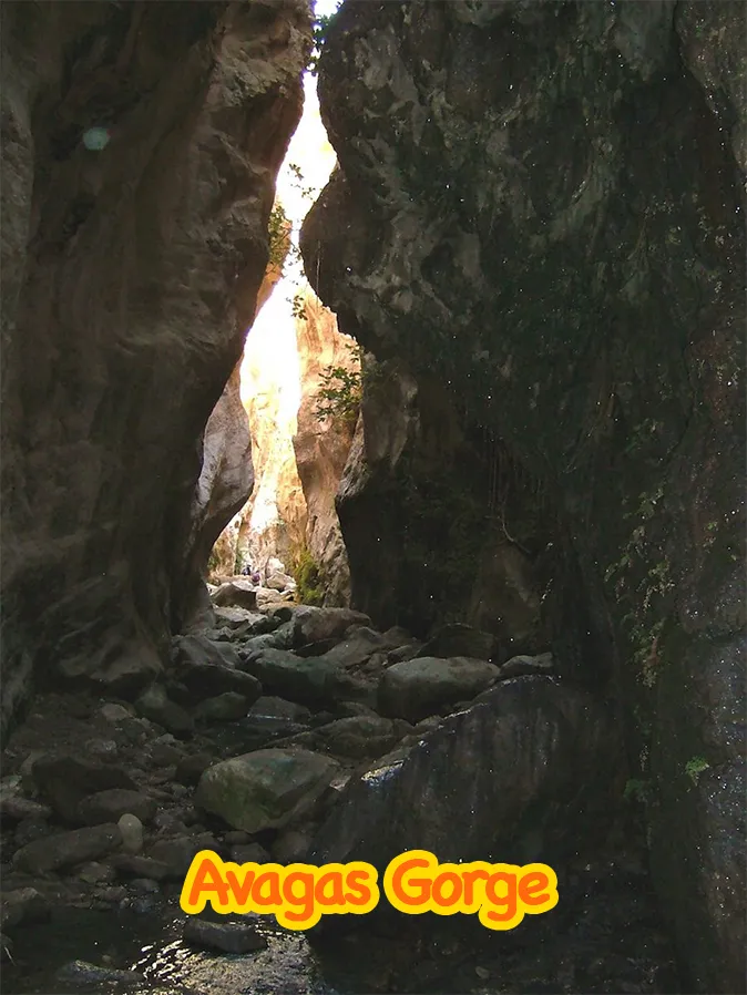 2-Land-Rover-Treasure-Safari-Paphos-Cyprus-Jeep-Akamas-Avagas-Gorge
