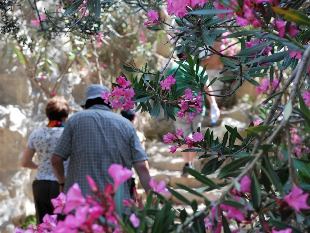 6-Land-Rover-Treasure-Safari-Paphos-Cyprus-Jeep-Akamas-Aavagas-Gorge