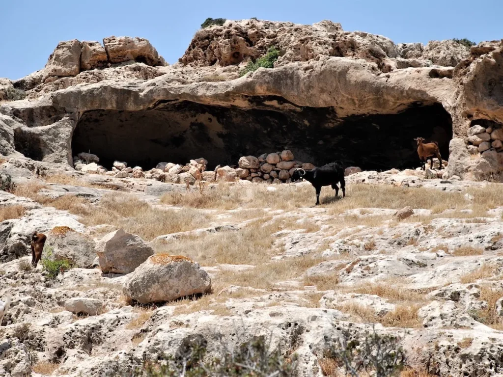 8-Land-Rover-Treasure-Safari-Paphos-Cyprus-Jeep-Akamas-Caves