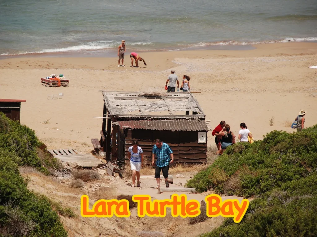9-Land-Rover-Treasure-Safari-Paphos-Cyprus-Jeep-Akamas-Lara-Bay